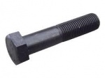 Болт М 24 х110